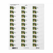 Cold Spring NY - Buiten eten op het terras Etiket (Full Sheet)