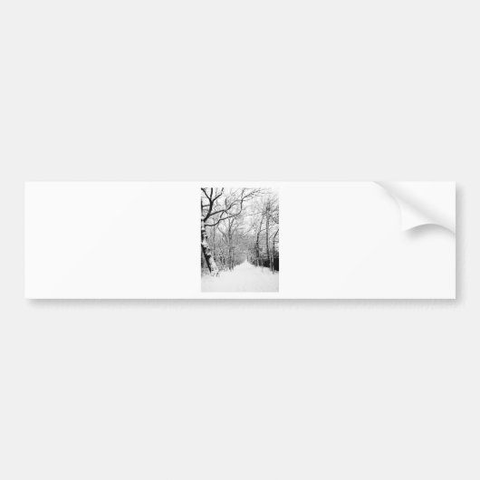 Cold Winter Woodland Bumpersticker (Voorkant)