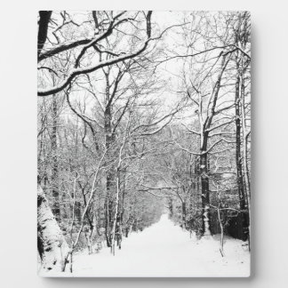 Cold Winter Woodland Fotoplaat