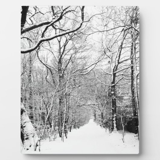 Cold Winter Woodland Fotoplaat (Voorkant)