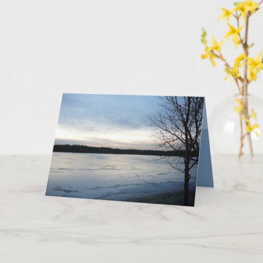 ColdScape Kaart (Gele Bloem)