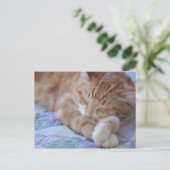 Cole Briefkaart (Staand voorkant)