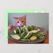 Cole in actie briefkaart (Voorkant / Achterkant)