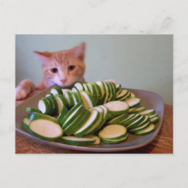 Cole in actie briefkaart