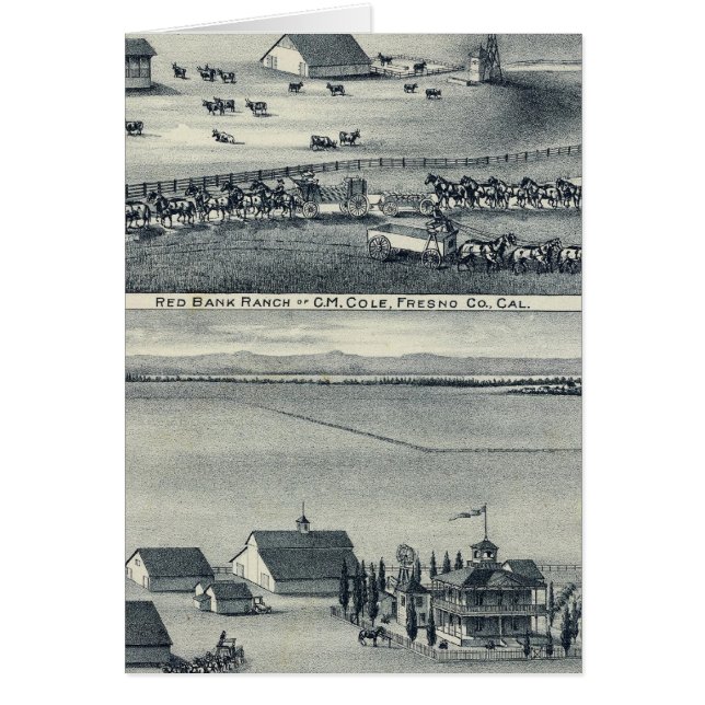 Cole Ranches (Voorkant)