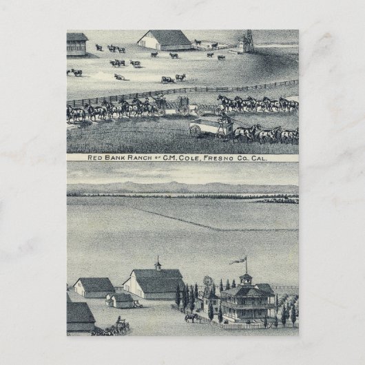 Cole Ranches Briefkaart (Voorkant)