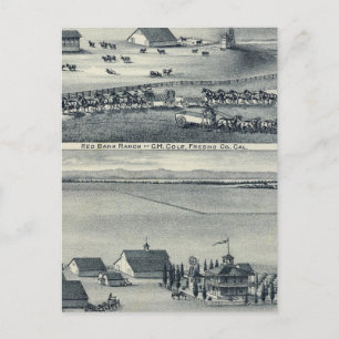 Cole Ranches Briefkaart