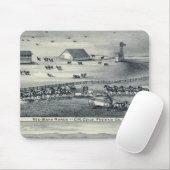 Cole Ranches Muismat (Met muis)