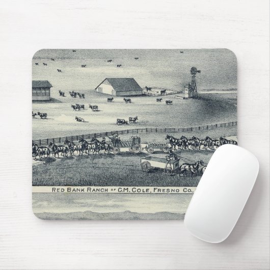 Cole Ranches Muismat (Met muis)