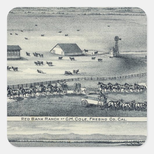 Cole Ranches Vierkante Sticker (Voorkant)
