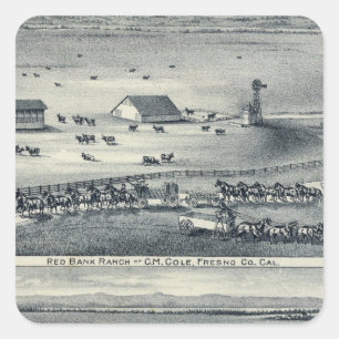 Cole Ranches Vierkante Sticker