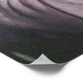 Cole Sprouse Poster (Hoek)