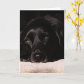 Cole wenskaart kaart (Gele Bloem)