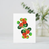 coleção Flores do Brasil capuchinha,  Briefkaart (Staand voorkant)