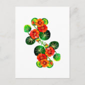 coleção Flores do Brasil capuchinha,  Briefkaart (Voorkant)