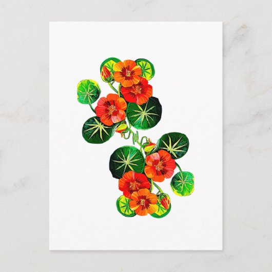 coleção Flores do Brasil capuchinha,  Briefkaart (Voorkant)