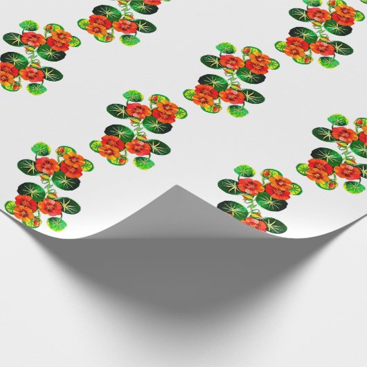 coleção Flores do Brasil capuchinha,  Cadeaupapier (Hoek)