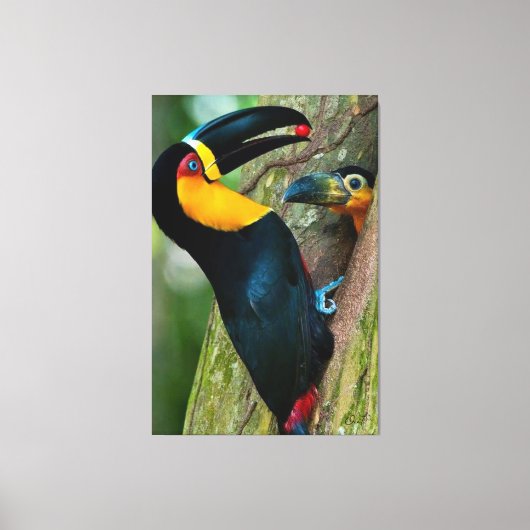 Coleção Onaitsirc Infinity de quadros de tela. Canvas Afdruk (Voorkant)