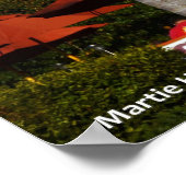 Cole's BBQ Poster (Hoek)