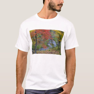 Coles Creek met najaarsmodelbomen in de buurt van T-shirt