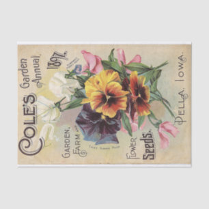 Cole's Garden Jaarlijks 1897 Bloemen Catalogus Tissuepapier