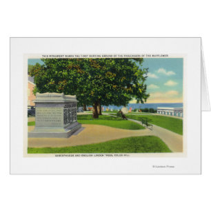 Coles Hill Uitzicht van Mayflower Burial Monument