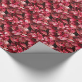 Coleus Cadeaupapier (Hoek)