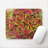 Coleus Flower Patch Mousepad Muismat (Met muis)