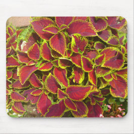 Coleus Flower Patch Mousepad Muismat