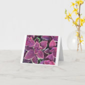 Coleus Kaart (Gele Bloem)