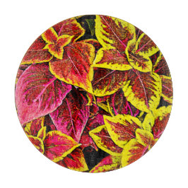 Coleus Leaf Burst Design Snijplank