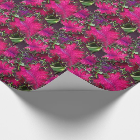 Coleus Macro Cadeaupapier (Hoek)