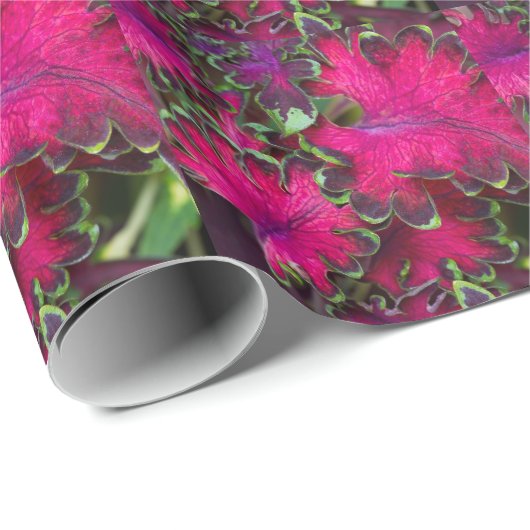 Coleus Macro Cadeaupapier (Rol Hoek)