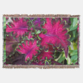 Coleus Macro Deken (Voorkant)