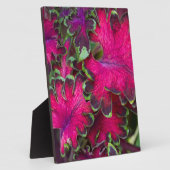 Coleus Macro Fotoplaat (Zijkant)