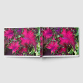 Coleus Macro Gastenboek (Volledig)