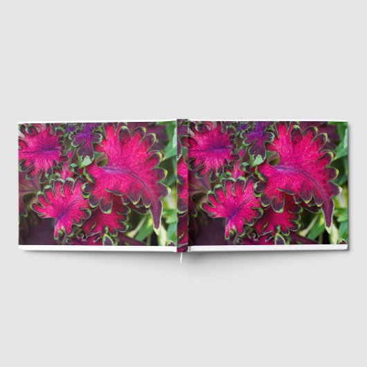 Coleus Macro Gastenboek (Volledig)