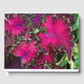 Coleus Macro Gastenboek (Voorkant)