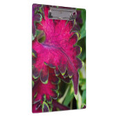 Coleus Macro Klembord (Rechts)