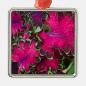 Coleus Macro Metalen Ornament (Voorkant)