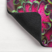 Coleus Macro Muismat (Hoek)