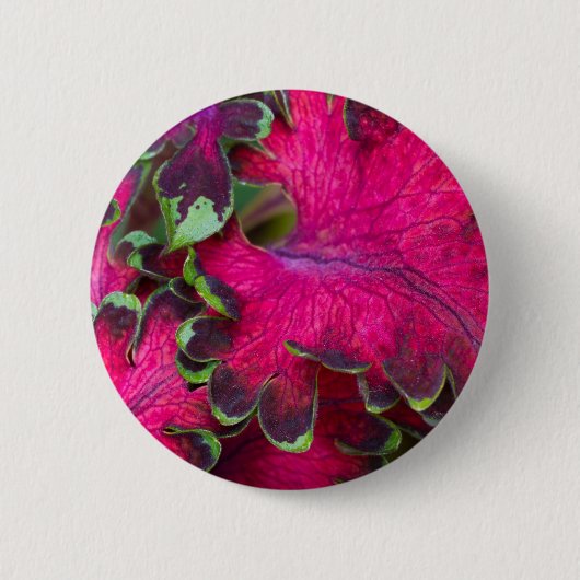 Coleus Macro Ronde Button 5,7 Cm (Voorkant)