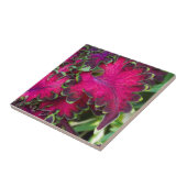 Coleus Macro Tegeltje (Zijkant)