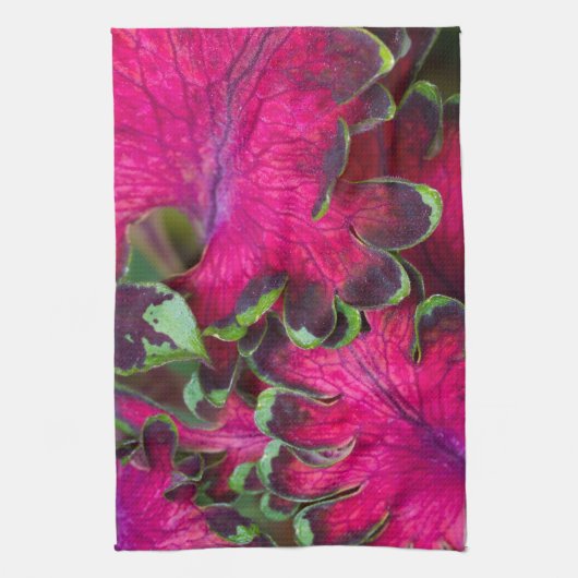 Coleus Macro Theedoek (Verticaal)