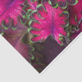 Coleus Macro Tissuepapier (Detail)