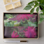 Coleus Macro Tissuepapier (Geschenk)