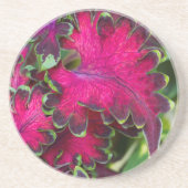 Coleus Macro Zandsteen Onderzetter (Voorkant)