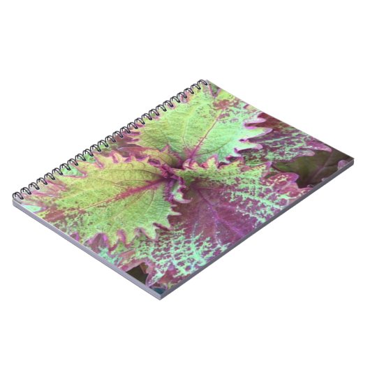 Coleus Notitieboek (Linkerzijde)