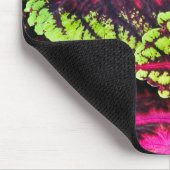 Coleus Plant Leaves Muismat (Hoek)