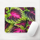 Coleus Plant Leaves Muismat (Met muis)